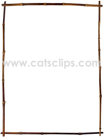 black bamboo border