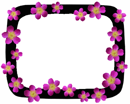 blac rose border