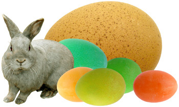bunny with eggs