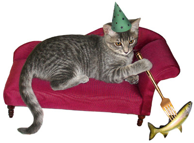 cat on couch