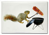 squirrel bbq magnet