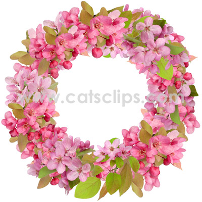 crabapple circle