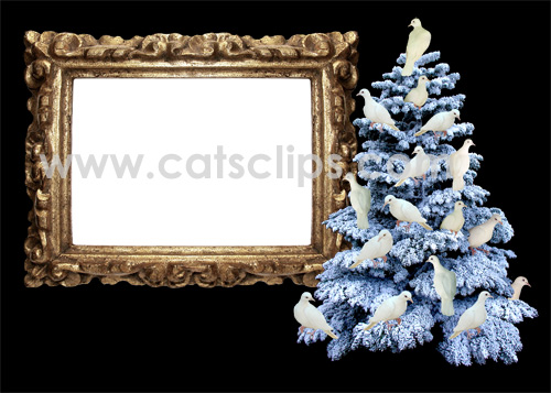 dove tree photo frame
