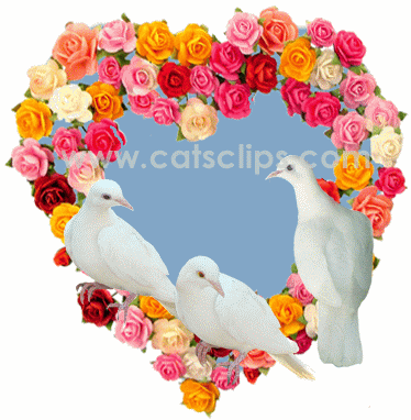 Dove Heart Birthday