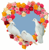 dove heart birthday card