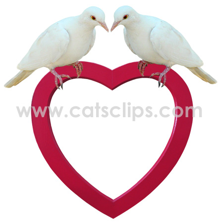 Doves on red heart frame
