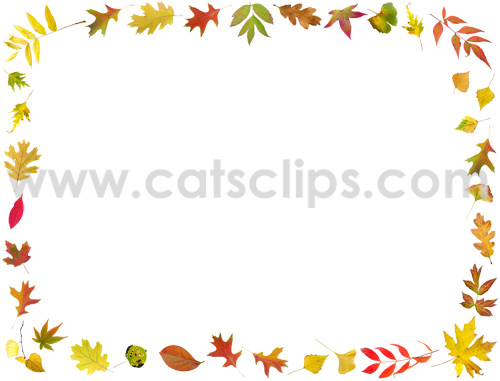 fall colored leaves border