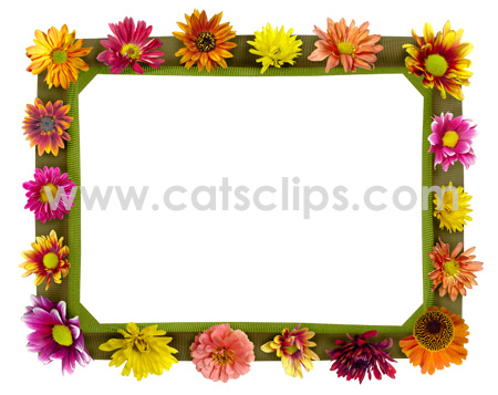 Fall Flowers borders from www.catsclips.com.