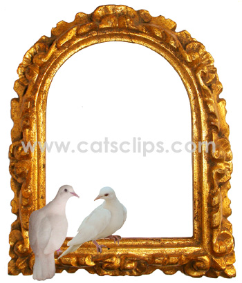 gold frame doves border