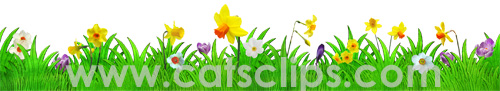 spring flowers in grass border