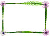 horsetail flower border