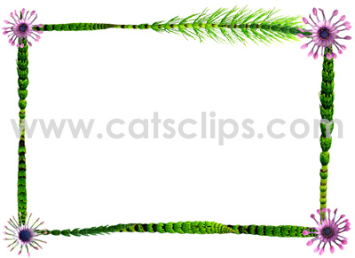 horsetails and flowers border
