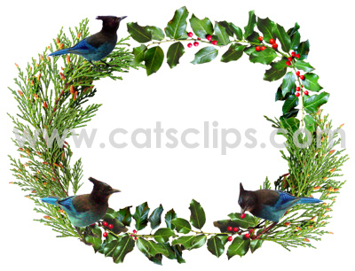 jay holly border