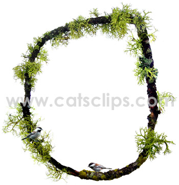 lichen twig border