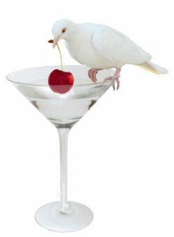 martini dove