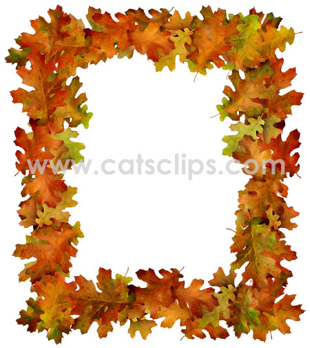 border of fall oak leaves