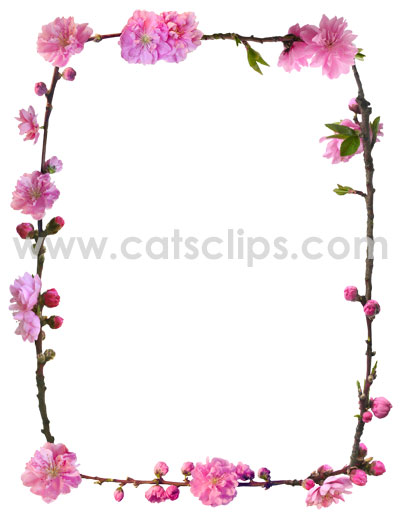 Peach Blossom border from www.catsclips.com