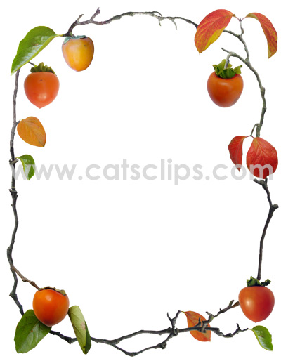 Persimmon Border from catsclips.com