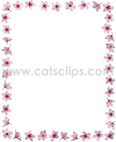 pink plum flowers border