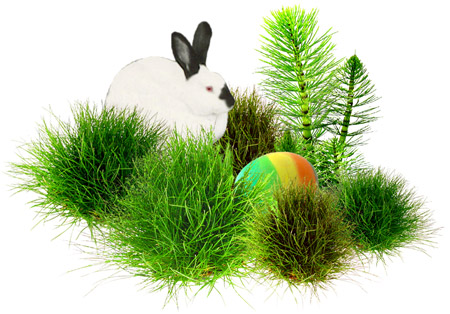 rabbit with rainbow egg
