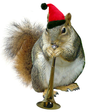 Santa squirrel with horn
