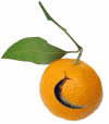 slug fruit