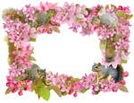 squirrel flower border