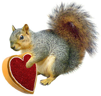 squirrel valentine