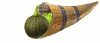 squirrel cornicopia