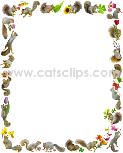 squirrels with flowers border