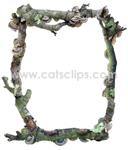 Turkey Fungus Branches border from www.catsclips.com