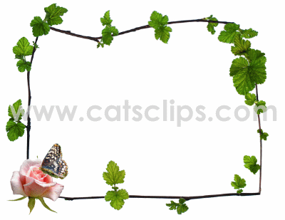 berry vines rose butterfly