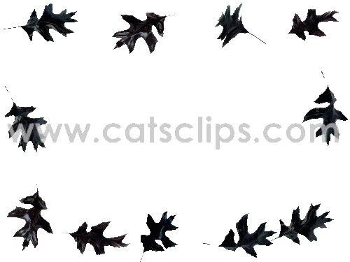 black leaves animated gif border