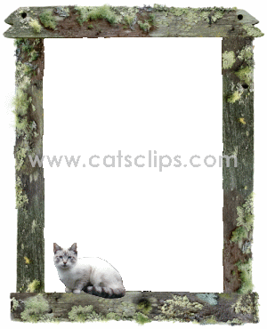 cat on fence animated GIF border