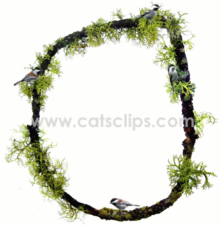 chickadee twig animated border