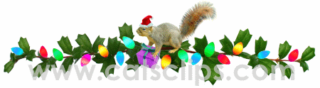 squirrel with christmas lights